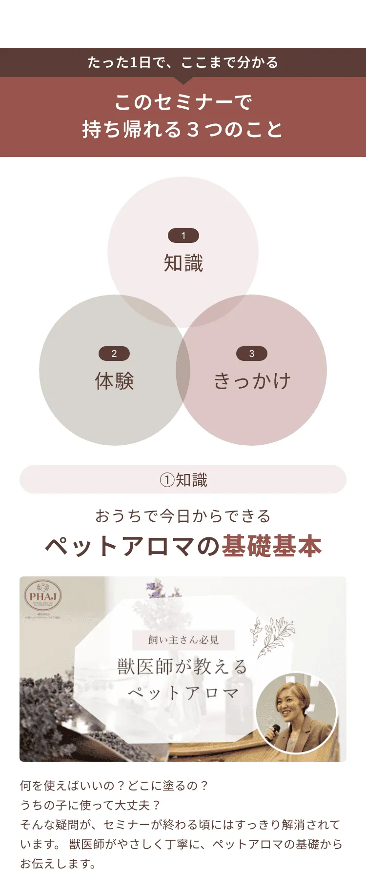 たった1日で、ここまで分かる このセミナーで持ち帰れる3つのこと