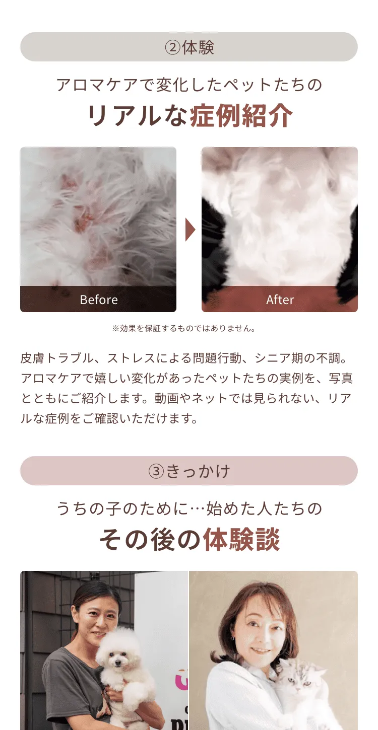 ②体験 ③きっかけ