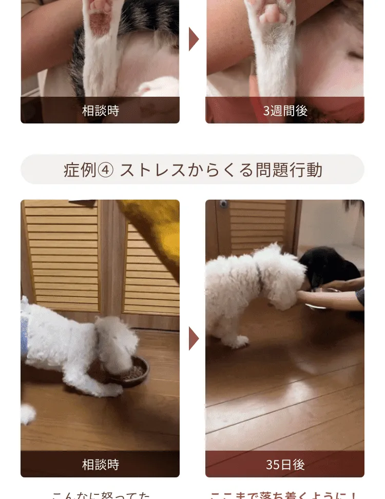 症例①お腹の肌荒れ 症例②目の肌荒れ