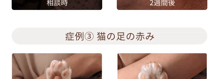 あなたの手で、できることがある こんな症例に嬉しい変化が報告されています